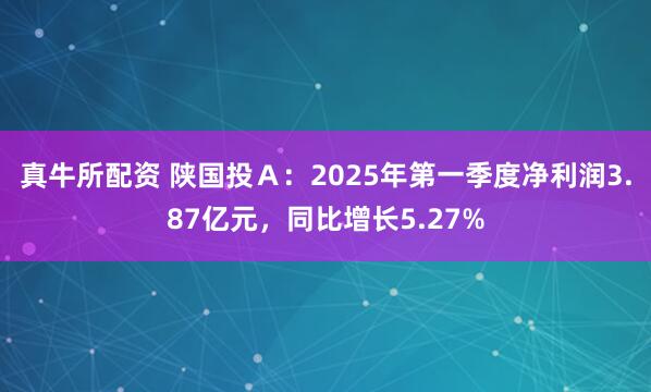 真牛所配资 陕国投Ａ：2025年第一季度净利润3.87亿元，同比增长5.27%