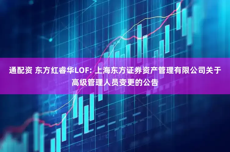 通配资 东方红睿华LOF: 上海东方证券资产管理有限公司关于高级管理人员变更的公告