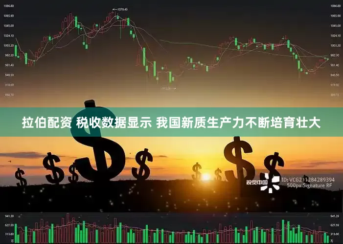 拉伯配资 税收数据显示 我国新质生产力不断培育壮大