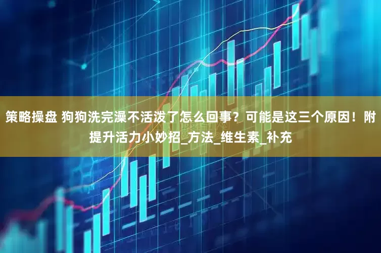 策略操盘 狗狗洗完澡不活泼了怎么回事？可能是这三个原因！附提升活力小妙招_方法_维生素_补充